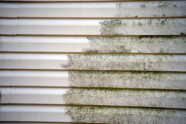 Best Carpet Removal and Disposal  in Walden, NY